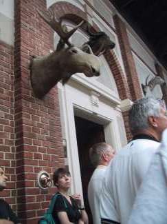 IMG_1559.JPG
